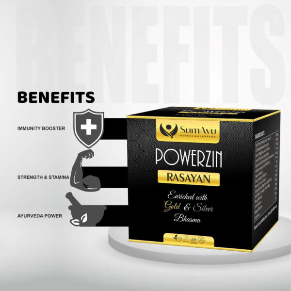 Powerzin Rasayan